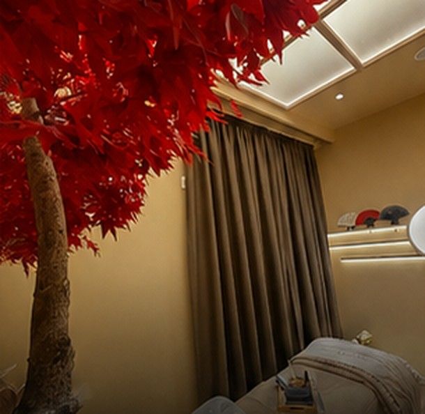 Camera tematica Giappone · Pre Detox Hair Spa Genova